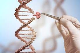 الجينات الوراثية واكتشاف الإعاقة قبل وقوعها